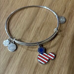 Alex and Ani Silver Tone Bangle with Charm
